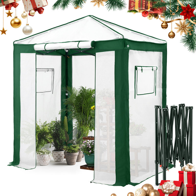 Serre de jardin portative 6 x 4 pi, Vert