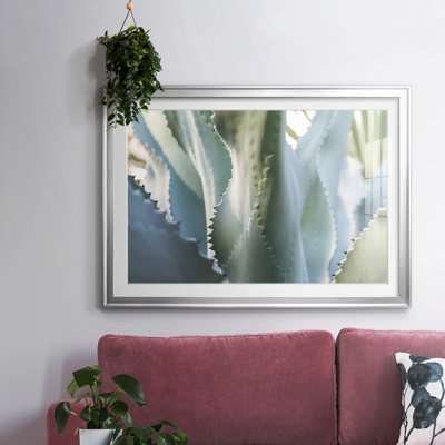 " Blue Agave II "