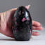 Rhodonite impériale polie de Madagascar (1,5 lb)