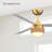 Paget 52 inch Indoor/Outdoor Ceiling Fan with LED Light Kit - Brushed Satin Brass with Matte White blades-111816950-115730362