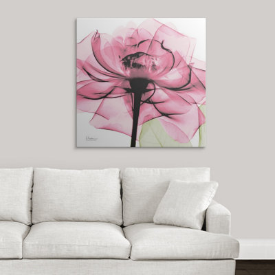 Manigault 'Rose X-Ray by Kiranjit Photographic Print