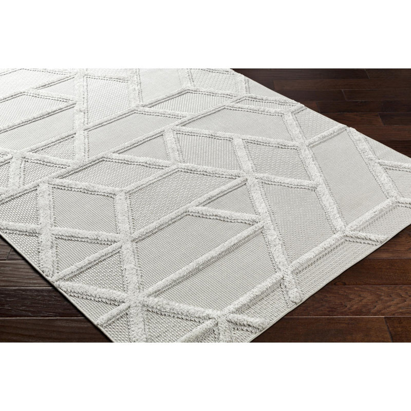 Tapis intérieur / extérieur en polypropylène tissé à la machine Koonce, Tapis de couloir 2 pi 7 po x 7 pi 3 po