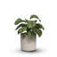 Pot à fleurs rond 14 po Byron-95288578-95288579-184169560