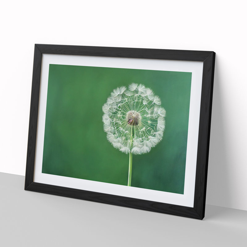 Excellent Dandelion Flower - Framed Print, Black, 25cm H x 34cm W x 2cm D