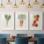 Organic Veg II - ensemble de 3 reproductions de cadres photo-974140462-974140468