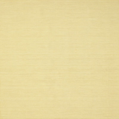 Indoor Rug