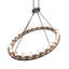 24 - Light Chandelier