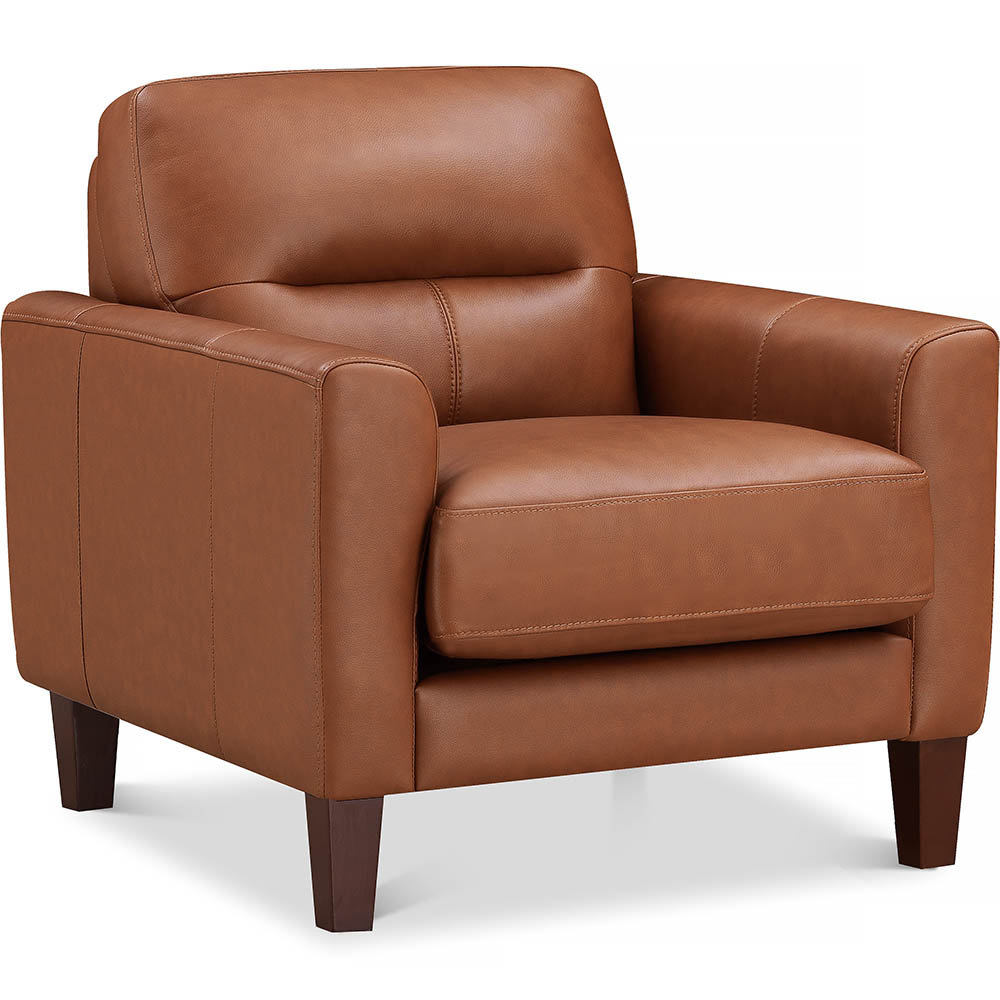 Hokku Designs Schneider Top Grain Leather Chair | Wayfair