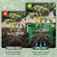 Anneaux de culture 10 po réglables avec pelle à main, anneaux de protection des plantes emboîtables