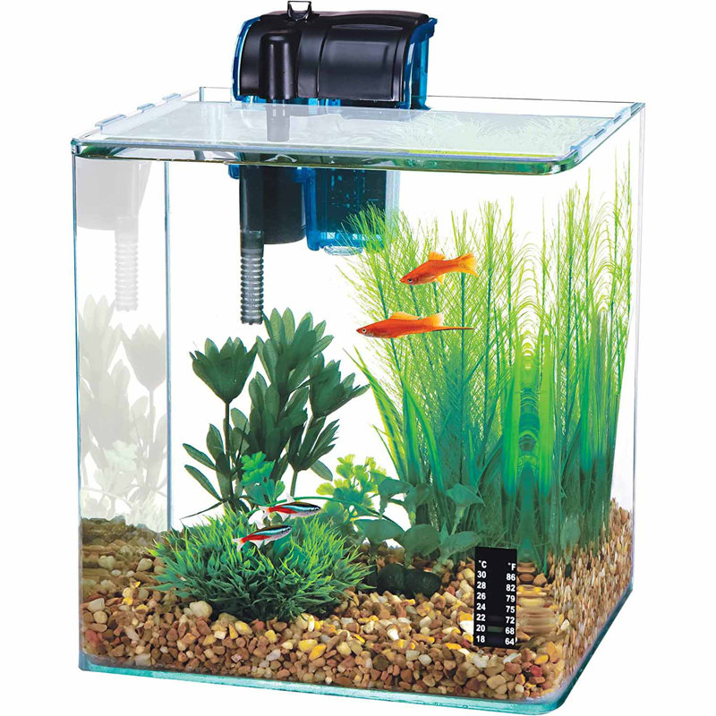 Vertex 2.7 Gallon Glass Desktop Aquarium Kit with Stand
