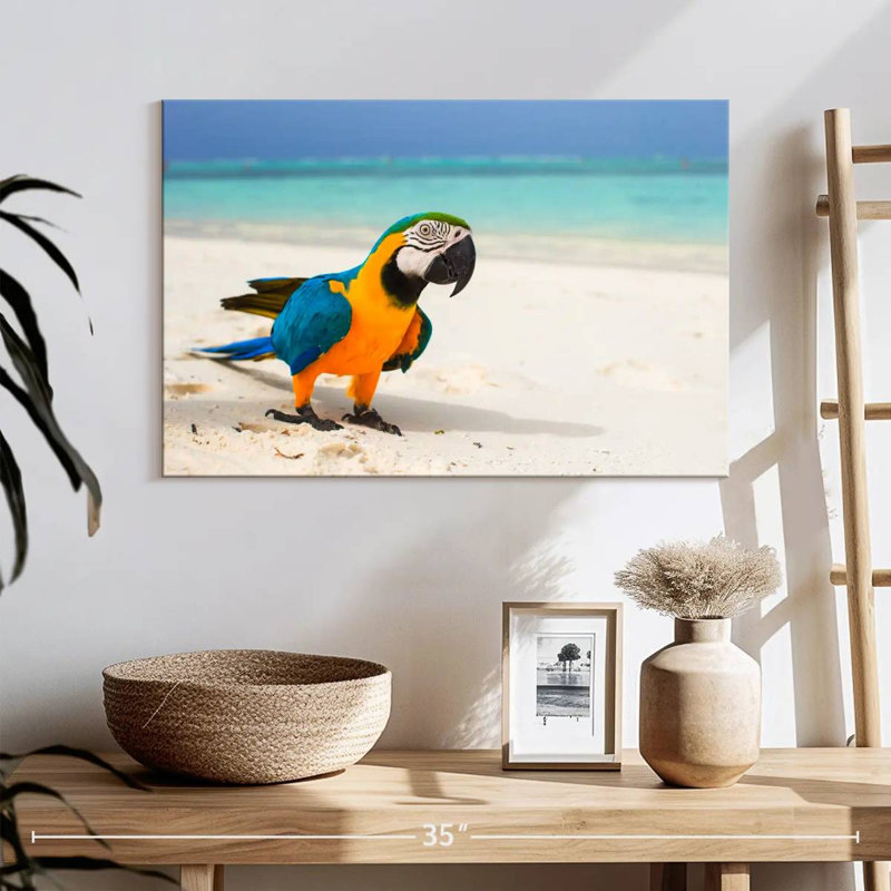 Brampt Macaw On White Sand, 16" H x 24" W