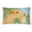 Coussin décoratif intérieur / extérieur Lakeland Terrier