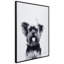 Yorkshire Terrier - cadre photo, impression sur verre