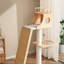 Multi-Functional Inclined Ladder Cat Tree