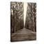 Tree Alley 1 Piece Wrapped Canvas Wall Art-20254052
