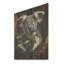 Koala gris grimpeur I - animal koala sur bois-102950030