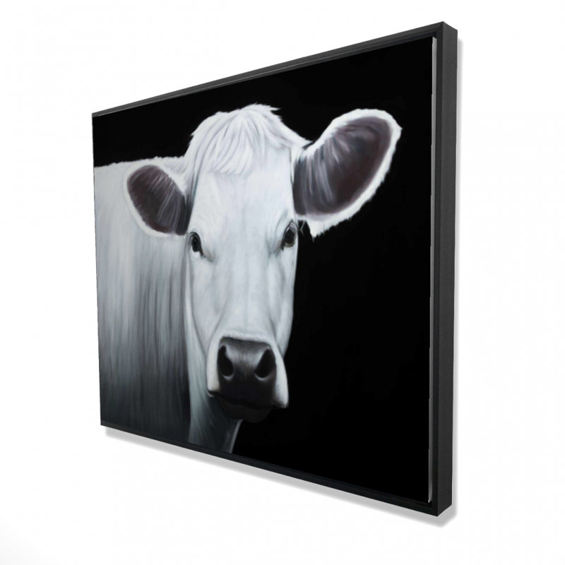 " White Cow "