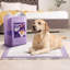Disposable Polyester Litter Mat