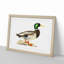 A Mallard Duck by Von Wright - Single Picture Frame Painting-55453407-55453408