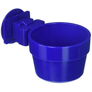 Pet Bowl