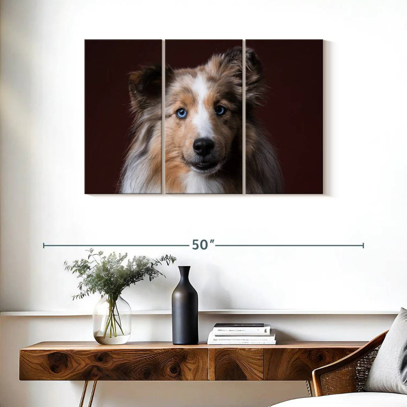 Adorable Sheltie, H 24 po x l 38 po