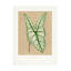 Art sur toile, "Les Plantes A"-103094538