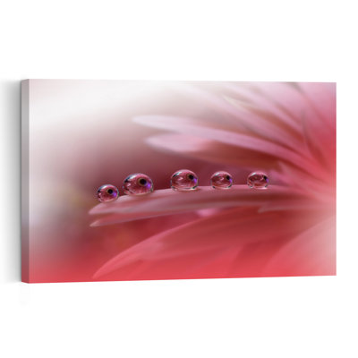 Pink Petal Drops Abstract Colorful Delicate Flower Nature Wall Art Print by Juliana Nan - Print