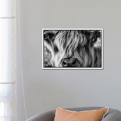 A Very Long-Haired Cow Looks Through Its Hair by Charlietyack - Print on Canvas