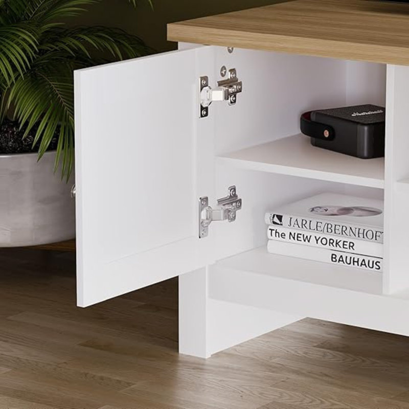 Burch TV Stand for TVs up to 50"