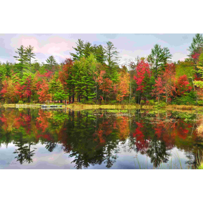 Feuillage Adirondacks, H 8 po x l 12 po
