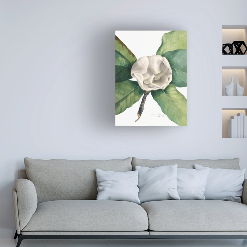 Art sur toile «Bachelor Mary Vaux Walcott Southern Magnolia», H 19 po x l 14 po