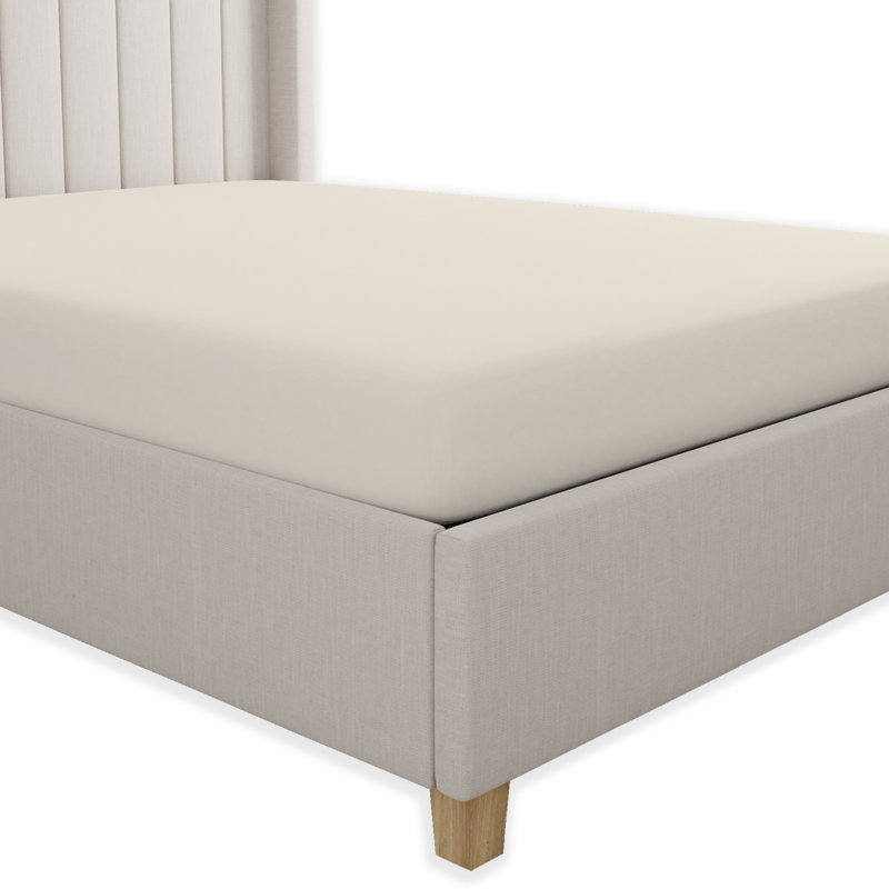 Hejran 300TC 100% Organic Cotton Percale Fitted Sheet, Single (3'), Ivory