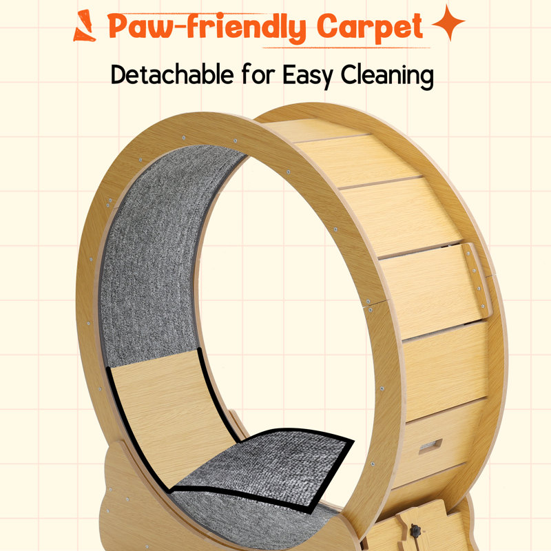 Tapis roulant d'intérieur pour animal de compagnie, Naturel, H 38,2 po x l 31,5 po x P 12,6 po
