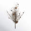 Twig Stem