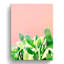 « heat montée », impression sur toile succulent-2004295103-2004295100