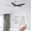 Alceo 52'' Ceiling Fan with LED Lights-624962759