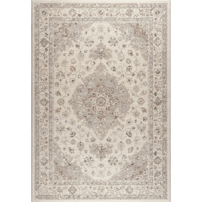 Oriental Area Rug