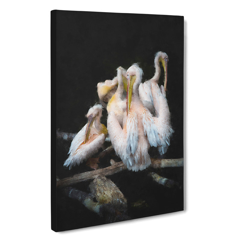 Pelicans - Wrapped Canvas, 76cm H x 50cm W x 3cm D