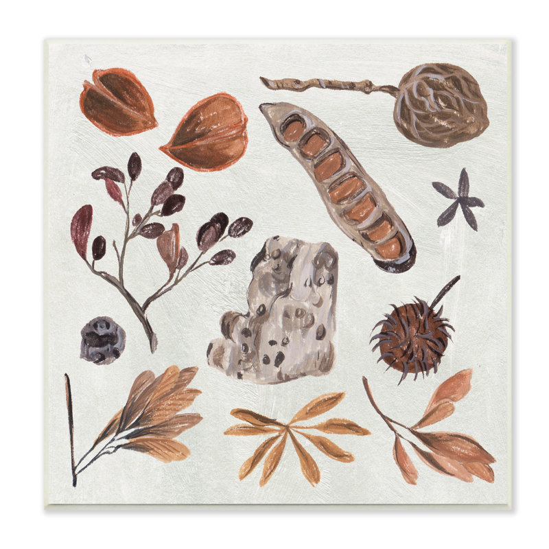 «Brown Seed Leaf Nut Botanicals Nature» par Melissa Wang - Peinture, Plaque murale, H 12 po x l 12 po x P 0,5 po