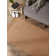 Dacula Cotton Indoor Rug