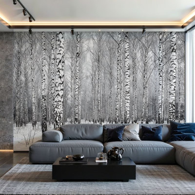 Peel and Stick Wallpaper Wall Mural Beautiful winter birch grove black white Wall Art Self Adhesive and Removable