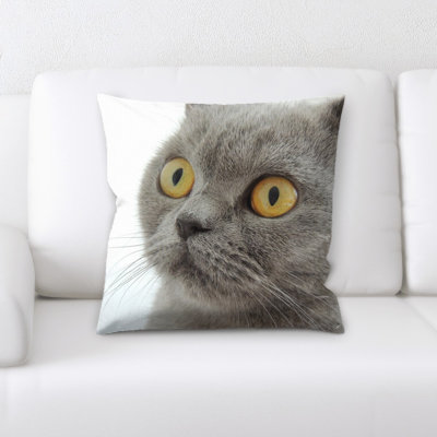 Housse de coussin carré et insert
