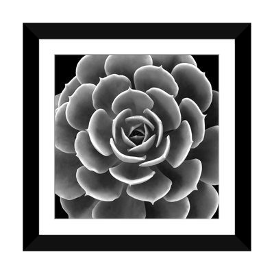 «Succulent IV», impression sur toile