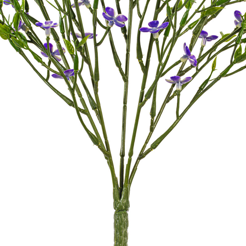 Buisson
