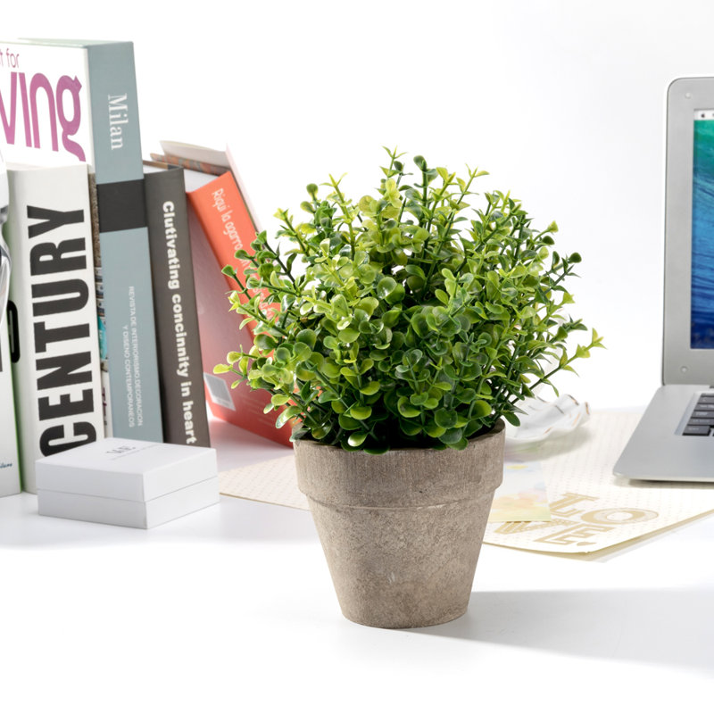 9.1'' Faux Foliage Topiary in Pot