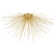 Sabra Flush Mount