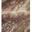Tissu Fossil