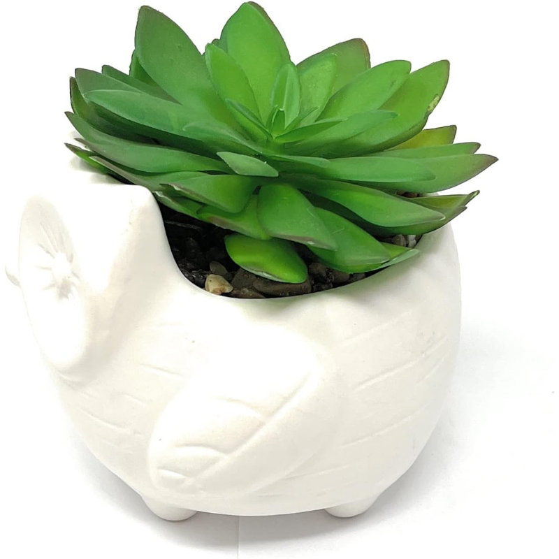 Fausse plante grasse en céramique 4,7 po, Hibou