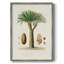 Arbre antique avec fruit, impression encadrée en V - bois massif-990276244