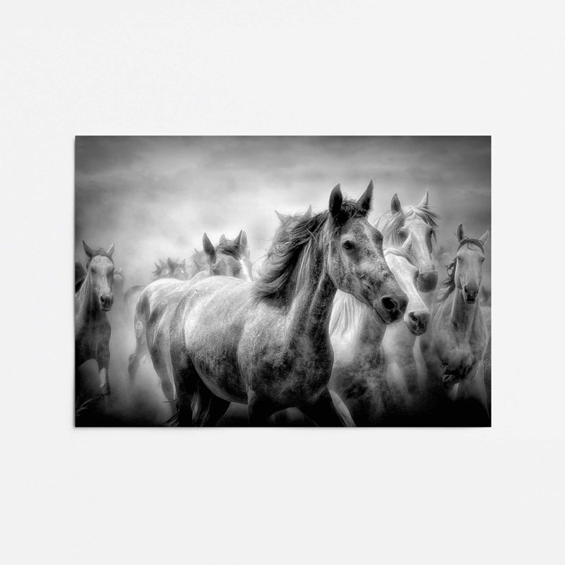 Thundering Hooves Print, No Frame, Paper, 24" H x 36" W